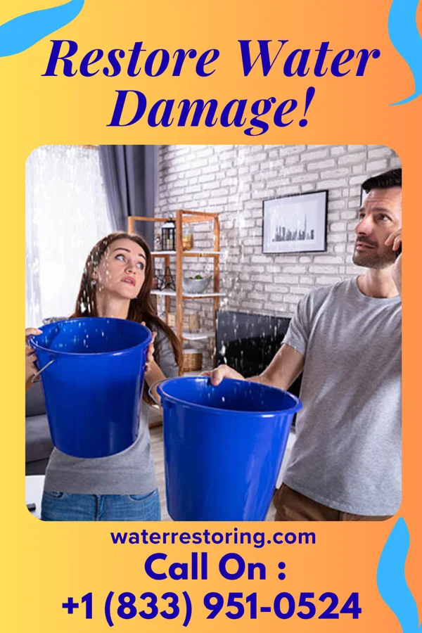 water restoration Eco Damage Restoration Company Bogota