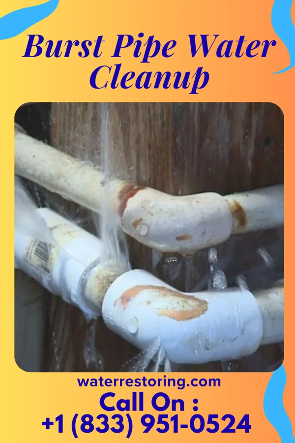 Burst Pipe Water Cleanup in Bogota, NJ