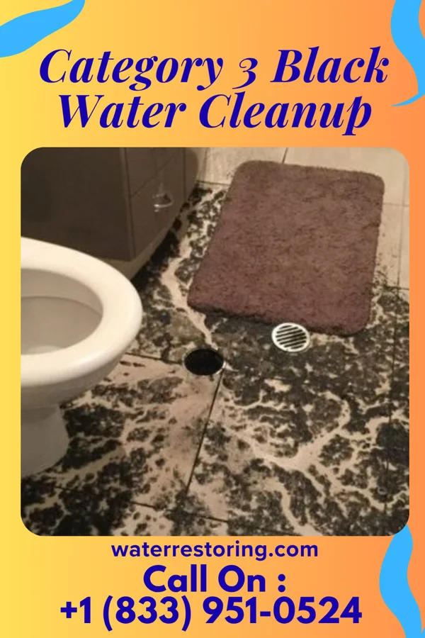 Category 3 Black Water Cleanup in Bogota, NJ