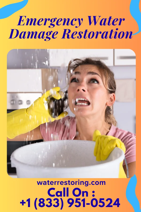 Emergency Water Damage Restoration in Bogota, NJ