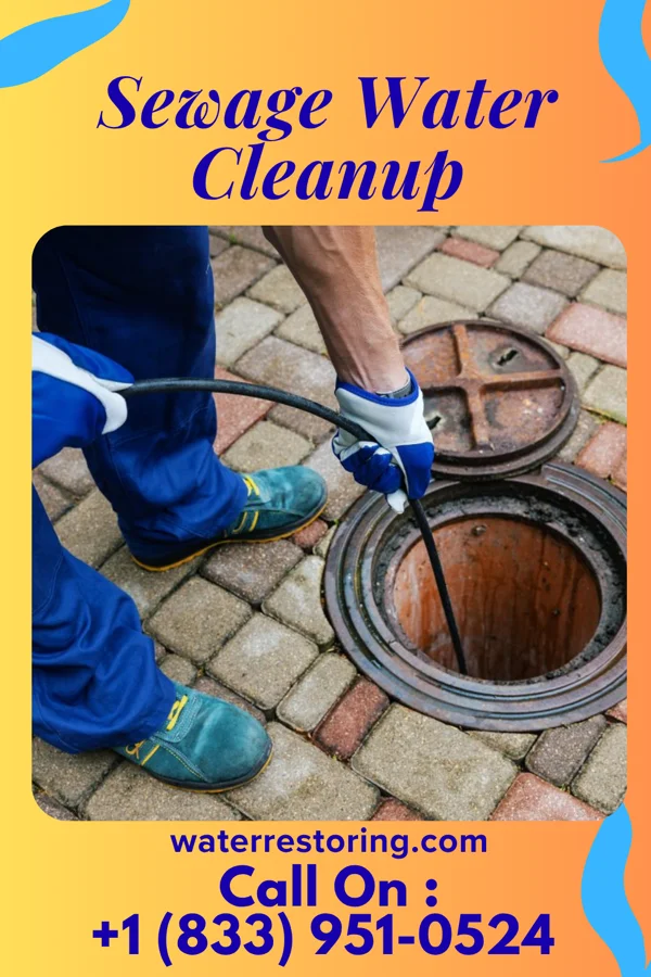 Sewage Water Cleanup in Bogota, NJ