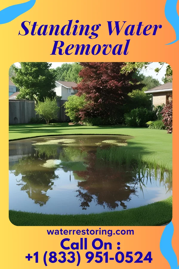 Standing Water Removal in Bogota, NJ